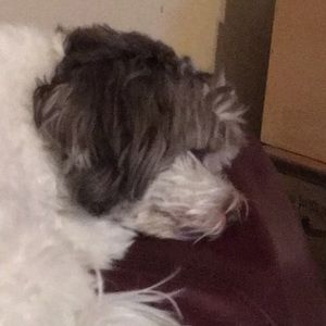 Meet your Posher, Joanne